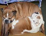     
: DSC_0543.jpg
: 7
:	186.5 
ID:	5827871