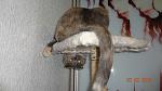     
: DSC00337.jpg
: 14
:	105.4 
ID:	5828530