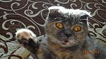     
: DSC00123.jpg
: 17
:	121.5 
ID:	5828536