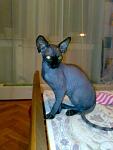     
: x_6ca13189.jpg
: 34
:	36.4 
ID:	583206