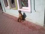     
: wv0qF_6kwgs.jpg
: 17
:	8.3 
ID:	5833037
