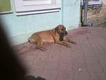     
: 26jqn_mGT58.jpg
: 28
:	6.6 
ID:	5833038