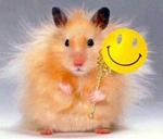     
: d24ef7312b877e3943e65bc735e62eb5.jpg
: 6
:	8.5 
ID:	5834242
