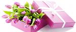     
: ac875aa5c64d99d30d46750c661df7437dfb8c88.jpg
: 30
:	137.5 
ID:	5835676