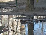     
: c7cf9662e998.jpg
: 12
:	89.9 
ID:	5836501