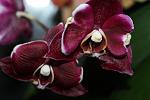     
: IMG_1679.jpg
: 9
:	74.0 
ID:	5836949