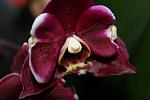     
: IMG_1680.jpg
: 16
:	69.0 
ID:	5836953