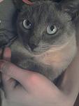     
: 2013-03-07 16.38.02.jpg
: 17
:	66.6 
ID:	5837022