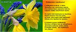     
: 8 марта_forum_od.jpg
: 12
:	206.1 
ID:	5838644