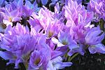     
: 1335353461_img_2.jpg
: 15
:	152.9 
ID:	5839868