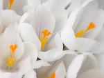     
: 1335352939_1667.jpg
: 21
:	56.3 
ID:	5839889