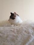     
: IMG_0633.jpg
: 11
:	61.7 
ID:	5840412