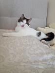     
: IMG_0642.jpg
: 10
:	75.9 
ID:	5840418