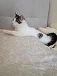     
: IMG_0641.jpg
: 11
:	73.5 
ID:	5840441