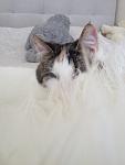     
: IMG_0639.jpg
: 9
:	47.3 
ID:	5840443