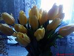     
: DSC07120.jpg
: 18
:	117.8 
ID:	5840650