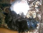     
: 2013-02-27 10.47.12.jpg
: 3
:	108.9 
ID:	5840907
