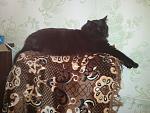     
: 2013-03-04 18.26.44.jpg
: 4
:	130.3 
ID:	5840908