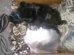     
: 2013-02-27 10.46.48.jpg
: 3
:	132.2 
ID:	5840911