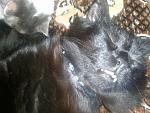     
: 2013-02-27 10.47.25.jpg
: 3
:	143.2 
ID:	5840913