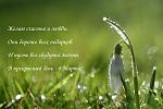     
: orig_1681c716739616f598b876c75529fe7a.jpg
: 7
:	100.3 
ID:	5842871