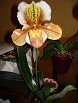     
: DSC06799.jpg
: 11
:	75.8 
ID:	5843328