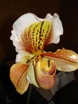     
: DSC06798.jpg
: 8
:	50.7 
ID:	5843329