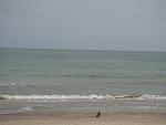     
: DSC08259.jpg
: 14
:	84.9 
ID:	5845175