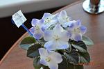     
: DSC_0022.JPG
: 6
:	97.5 
ID:	5845410
