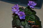     
: DSC_0011.JPG
: 5
:	90.6 
ID:	5845418
