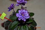     
: DSC_0013.JPG
: 6
:	93.9 
ID:	5845419