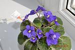     
: DSC_0001.JPG
: 9
:	117.6 
ID:	5845426