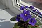     
: DSC_0005.JPG
: 4
:	105.8 
ID:	5845427