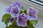     
: DSC_0009.JPG
: 11
:	105.7 
ID:	5845430