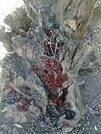     
: Фото0432.jpg
: 6
:	161.2 
ID:	5847539