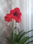     
: 0119.jpg
: 10
:	59.9 
ID:	5848850