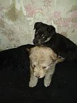     
: 20130310_090809.jpg
: 2
:	66.9 
ID:	5852212