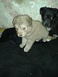     
: 20130310_090816.jpg
: 2
:	68.1 
ID:	5852215