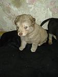     
: 20130310_090823.jpg
: 1
:	61.5 
ID:	5852216