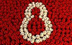     
: Holidays_International_Womens_Day_Flowerses_love_for_loved_womans_020244_.jpg
: 11
:	209.6 
ID:	5852348