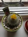     
: 19022013819.jpg
: 3
:	78.4 
ID:	5856110