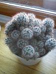     
: DSC00114.jpg
: 6
:	79.6 
ID:	5856188