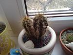     
: 11032013388.jpg
: 5
:	126.6 
ID:	5856189