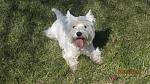     
: IMG_8020.jpg
: 7
:	126.4 
ID:	5857538