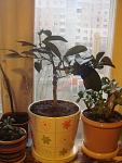     
: DSC02749.jpg
: 6
:	77.0 
ID:	5858784