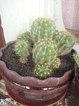     
: DSC00005.jpg
: 3
:	102.7 
ID:	5858826