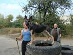     
: DSC02895.jpg
: 24
:	42.8 
ID:	586220