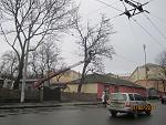     
: IMG_0577.jpg
: 26
:	219.4 
ID:	5865974