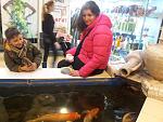     
: 2013-03-02 13.31.03.jpg
: 31
:	141.5 
ID:	5866689