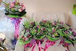     
: DSC_0053.jpg
: 8
:	190.2 
ID:	5867085